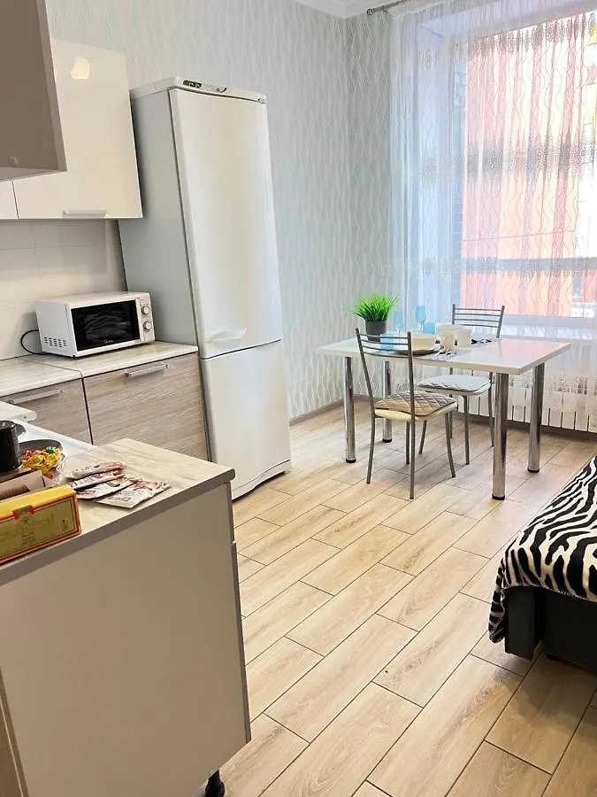 Cosy flat Apartment Nur-Sultan  Kazakhstan